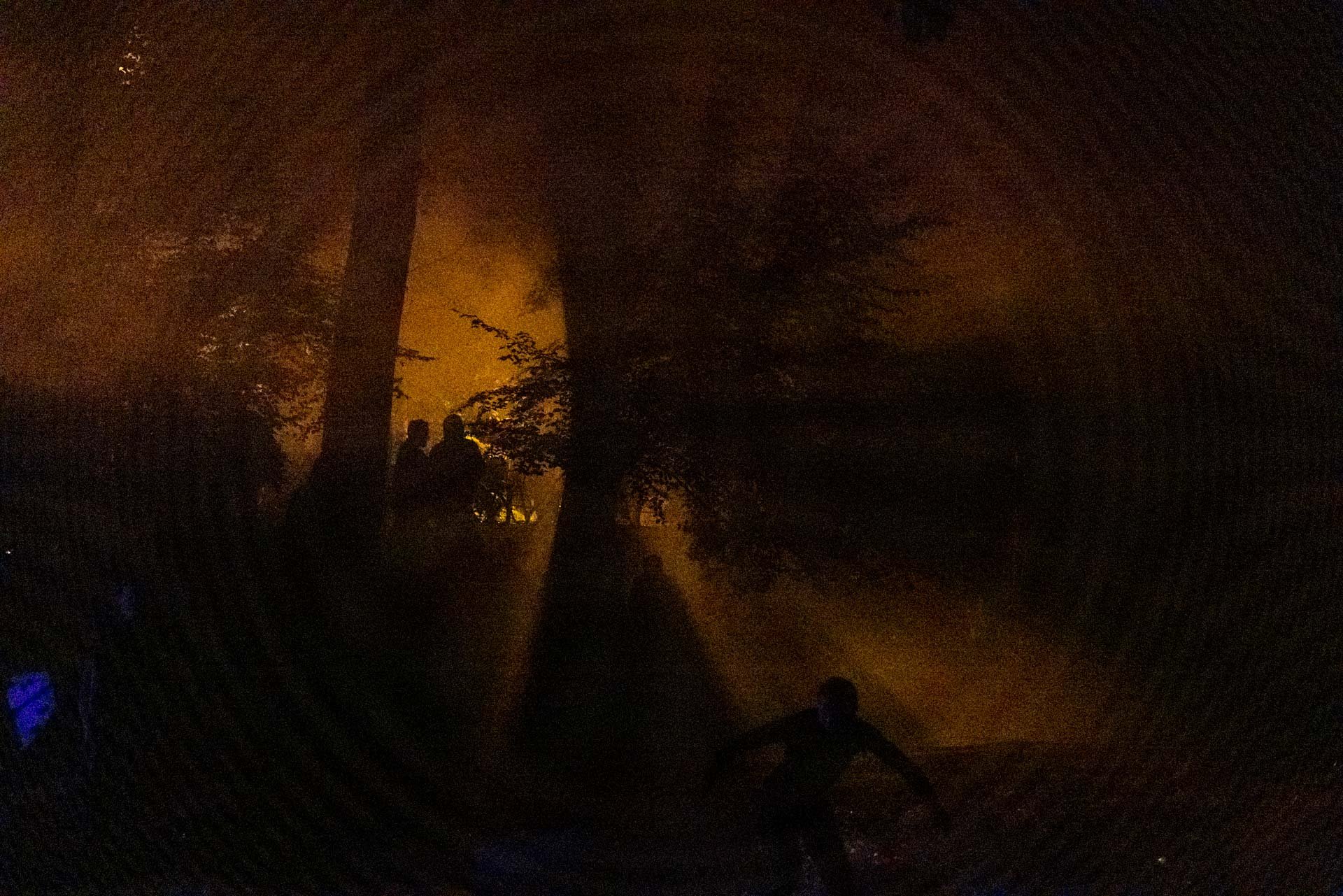 a photograph by Sandra Steh.