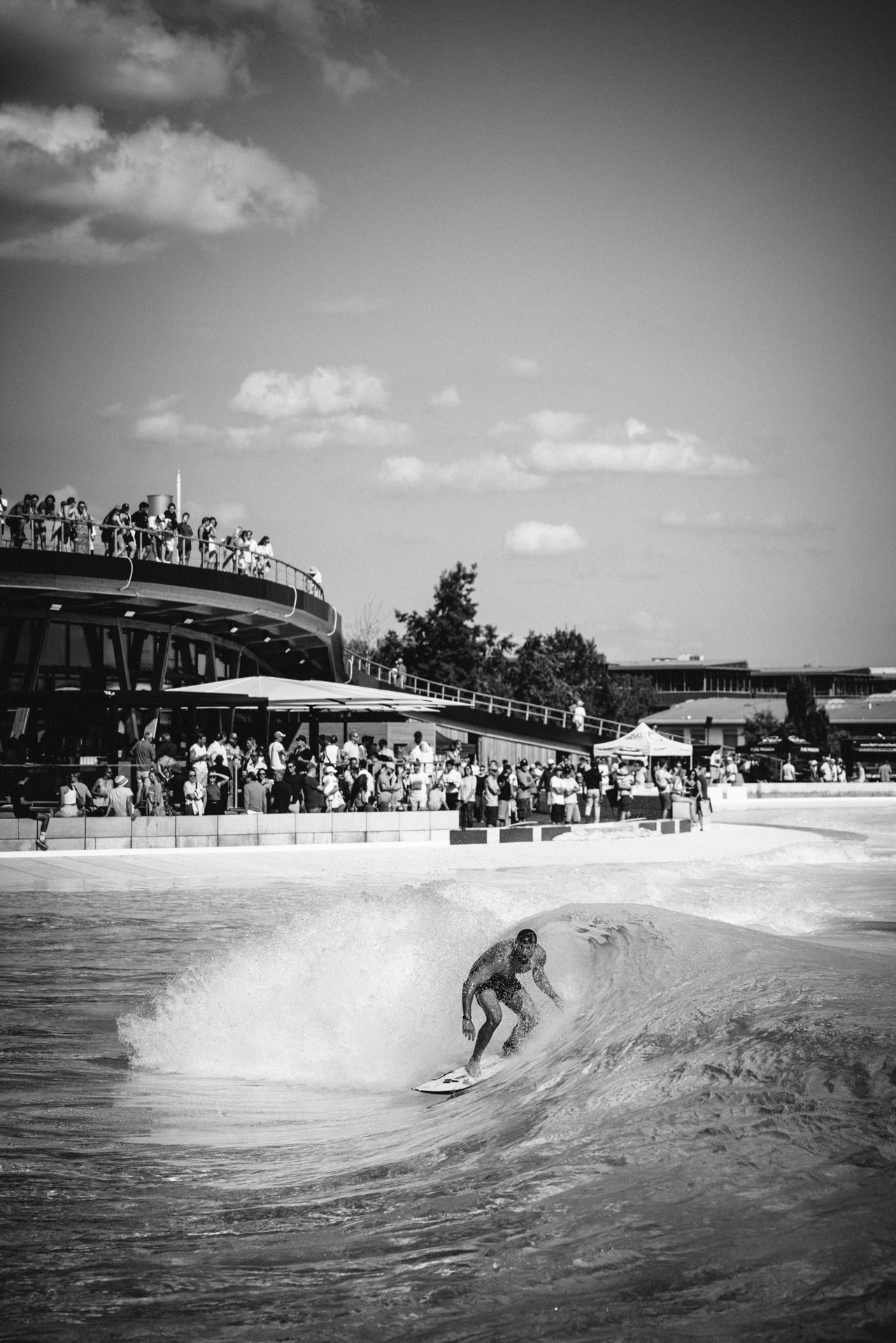 a photograph by Sandra Steh.